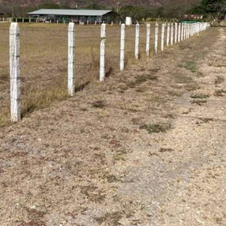 Postes-Destacada-600x600